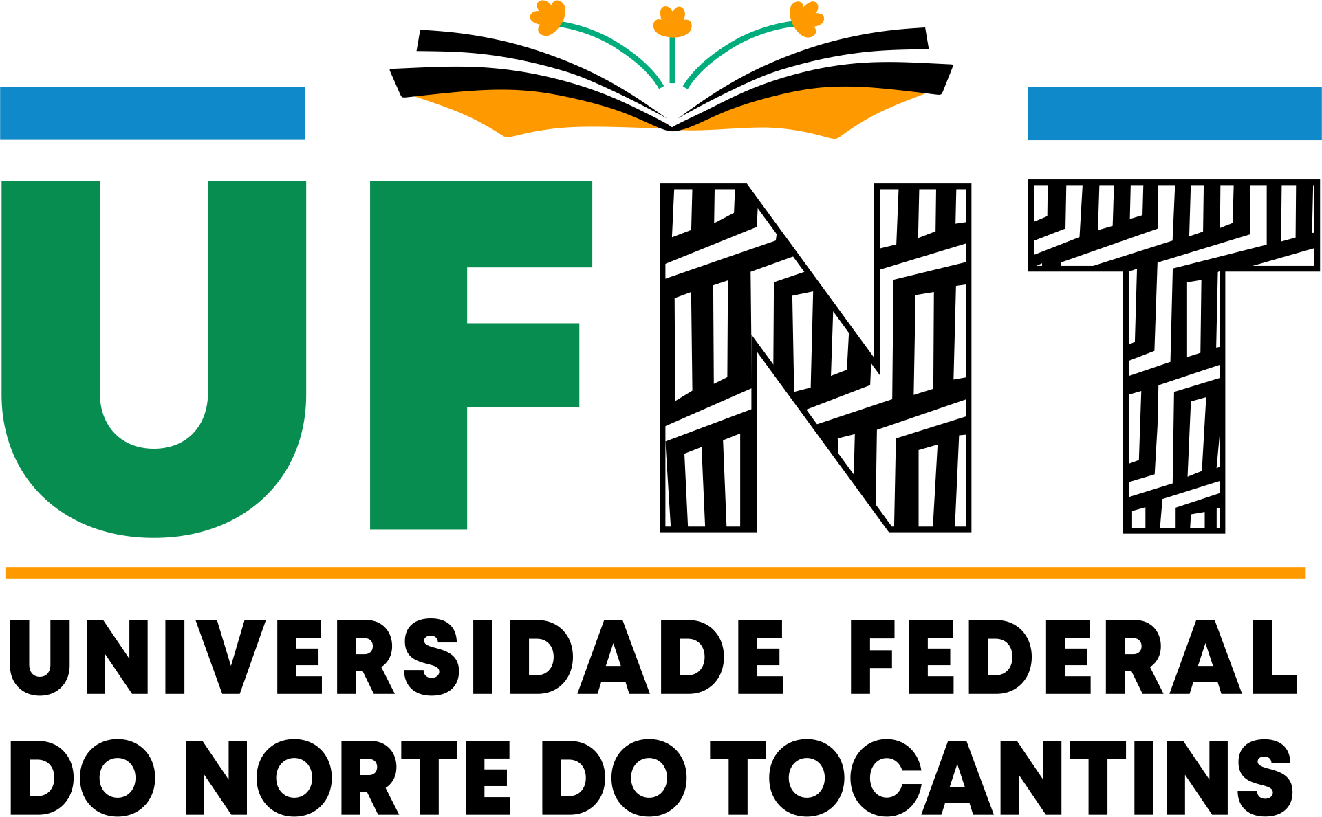 Logo UFNT